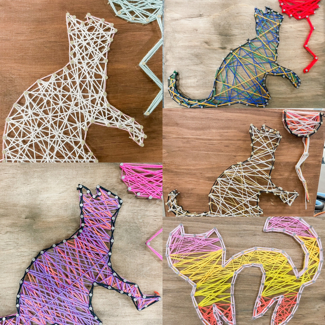 Draw String Cat.net Cat String Art – theartbusbyemma